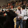IMG_1663.JPG
