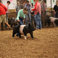 IMG_1682.JPG