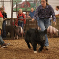 IMG_1689.JPG