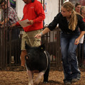 IMG_1690.JPG