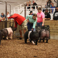 IMG_1713.JPG