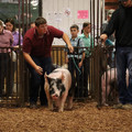IMG_1737.JPG