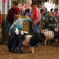 IMG_1754.JPG