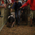 IMG_1765.JPG