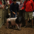 IMG_1766.JPG