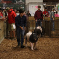IMG_1768.JPG