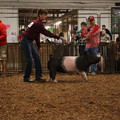 IMG_1772.JPG