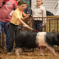 IMG_1777.JPG