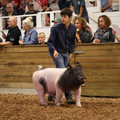 IMG_1785.JPG