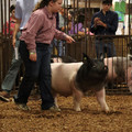 IMG_1793.JPG