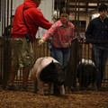 IMG_1804.JPG
