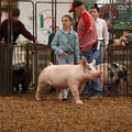 IMG_1811.JPG