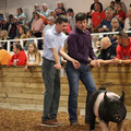 IMG_1815.JPG