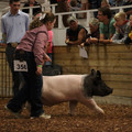 IMG_1822.JPG
