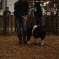 IMG_1826.JPG