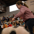 IMG_1832.JPG