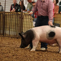 IMG_1843.JPG