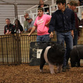 IMG_1848.JPG