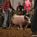 IMG_1854.JPG
