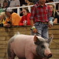 IMG_1855.JPG