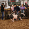 IMG_1860.JPG