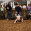 IMG_1861.JPG