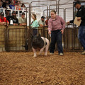 IMG_1864.JPG