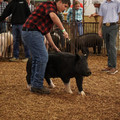 IMG_1879.JPG