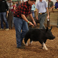 IMG_1880.JPG