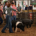 IMG_1884.JPG
