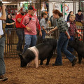 IMG_1885.JPG