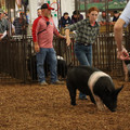 IMG_1886.JPG