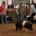 IMG_1887.JPG