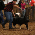 IMG_1891.JPG
