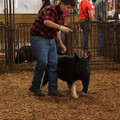 IMG_1892.JPG