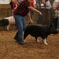 IMG_1893.JPG