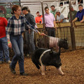 IMG_1895.JPG