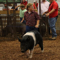 IMG_1904.JPG