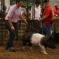 IMG_1907.JPG