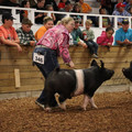 IMG_1931.JPG