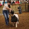 IMG_1936.JPG