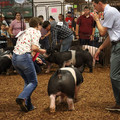 IMG_1937.JPG