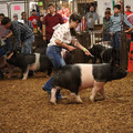 IMG_1938.JPG