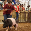 IMG_1948.JPG