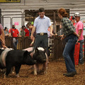 IMG_1954.JPG