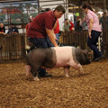IMG_1962.JPG