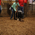 IMG_1963.JPG