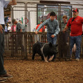 IMG_1965.JPG