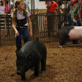 IMG_1986.JPG