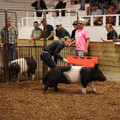 IMG_2005.JPG